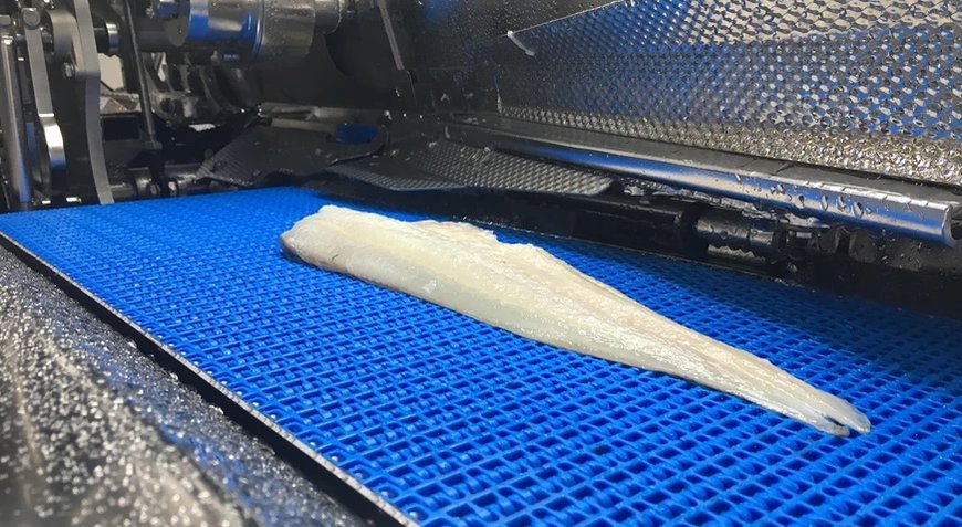 Driven by a passion to help feed our growing world, Marel, Curio and Valka are united to create innovative and sustainable solutions for the seafood industry